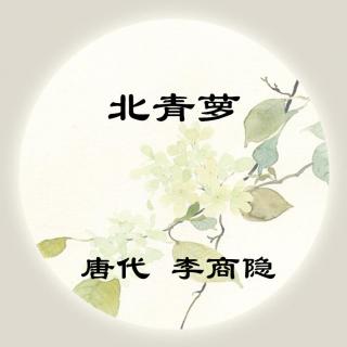 李商隐——《北青萝》