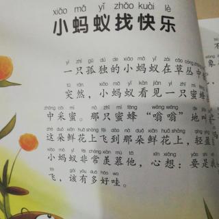 小蚂蚁找快乐