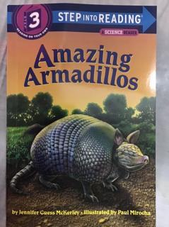 兰登3-Amazing Armadillos(1)