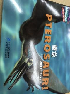 pterosaur！翼龙 11.2