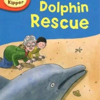 【艾玛读绘本】牛津树L5 Dolphin Rescue 磨耳朵