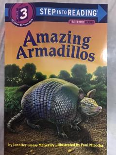 兰登3-Amazing Armadillos(2)