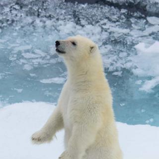 水浒传