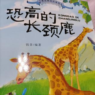 恐高的长颈鹿