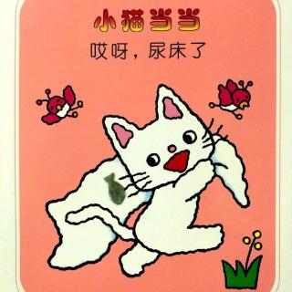 小猫当当，哎呀，尿床了！