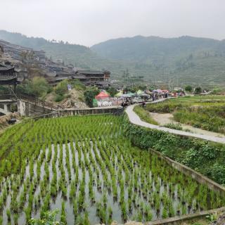 江州烟雨《琵琶行》再读       赵竹毅