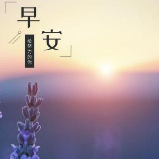 喀纳斯早安心语（11.4）