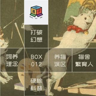 Box.012 务必三思啊之养猫（及任何活物）劝退指南