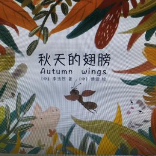 秋天的翅膀