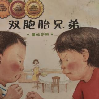 《双胞胎兄弟》