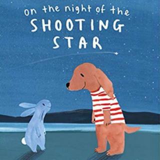 on the night of the shooting star