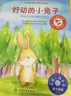 0205-儿童情绪管理与性格培养绘本《好动的小兔子》
