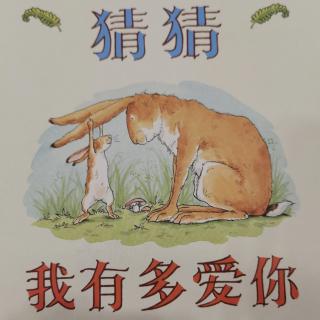 猜猜我有多爱你