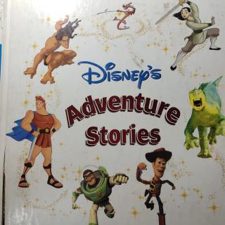 《Disnep's adventure stories》