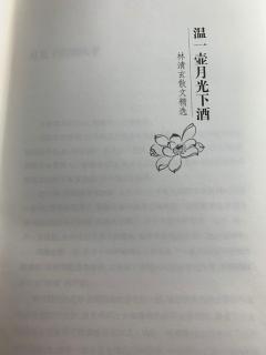 2负琴盲翁——温一壶月光下酒