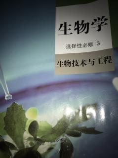 尝试制作传统发酵食品