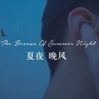 主播：忘忧——夏夜晚风