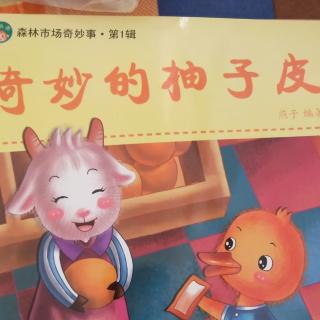 留史幼儿园中班刘爽老师带来的故事《奇妙的柚子皮》