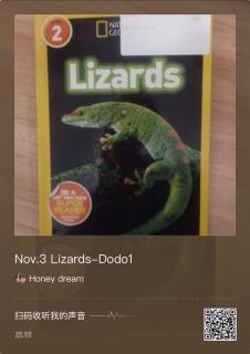 Nov.5 Lizards-Dodo1