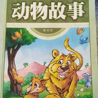 动物故事《熊猫圆圆》