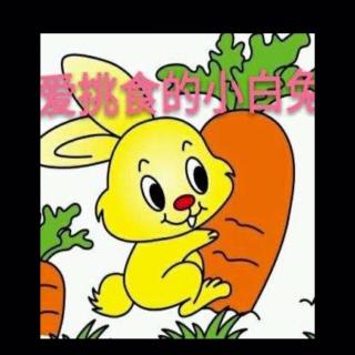 爱挑食的小白兔