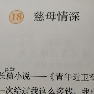 慈母深情