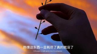 那些把你当草的人，你何必把他当宝？