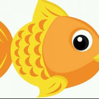 英文儿歌 Little Goldfish
