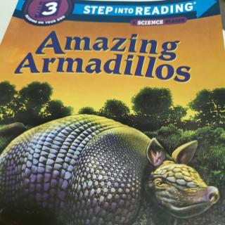 Amazing Armadillos