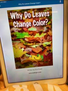 Why do leaves change color?(Annie)