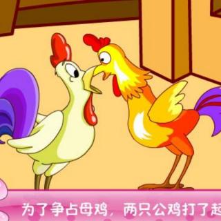 【海贝睡前小故事】余老师睡前小故事第99天《两只打架的公鸡🐓》