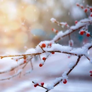 飘雪的冬天，你好！