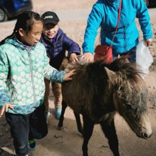 爱学习爱生活的小孩系列39我要拔乳牙