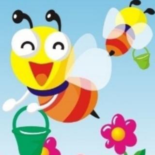 《小蜜蜂学飞》
