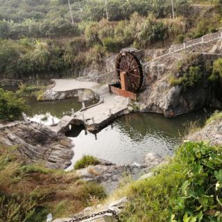 《铺满金色巴掌的水泥道》