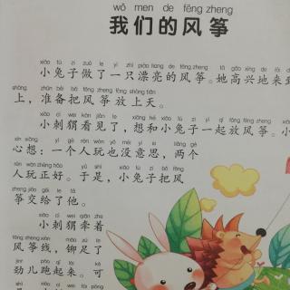 我们的风筝