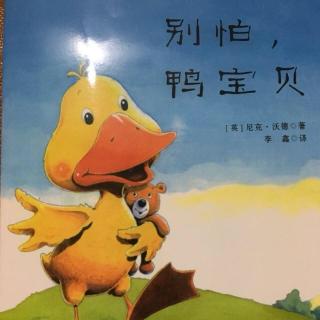 《别怕，鸭宝贝》