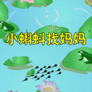 小蝌蚪找妈妈11月6日