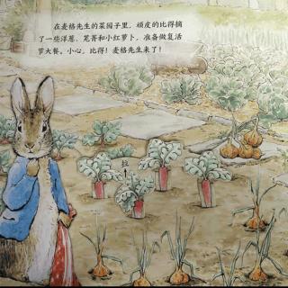 兔子先生的菜园子