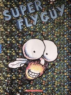 英语周绘本故事：super fly guy