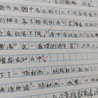 李奕璇复习语文资料