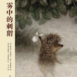 917.《雾中的刺猬》