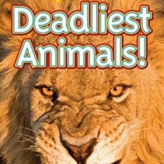 Nov.10th  Kyle11  
Deadliest Animals  Day2