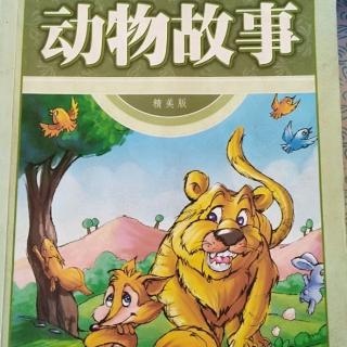 动物故事《呼噜猫和阿猜狗》