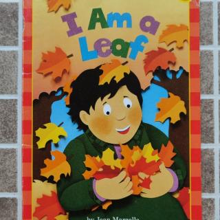 I am a leaf