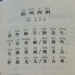 【唐诗】滁州西涧————韦应物