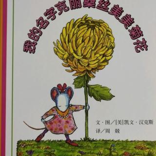 《我的名字克丽桑斯美美菊花》