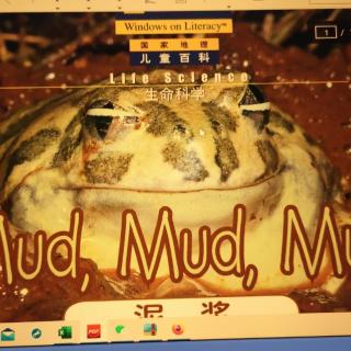 Mud Mud Mud  ,18