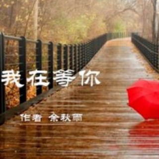 《我在等你》余秋雨