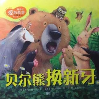 1113绘本故事《贝尔熊换新牙》主播-小羽老师